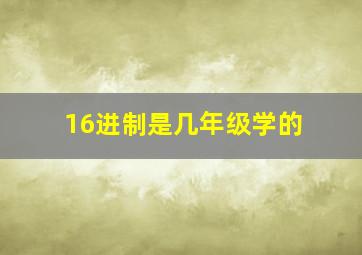 16进制是几年级学的