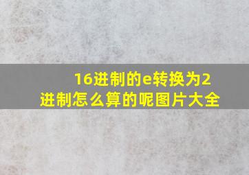 16进制的e转换为2进制怎么算的呢图片大全