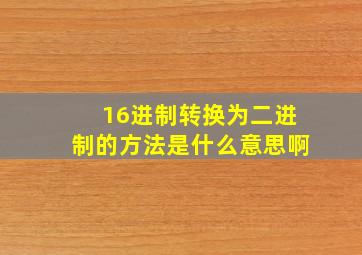 16进制转换为二进制的方法是什么意思啊