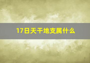 17日天干地支属什么