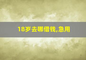 18岁去哪借钱,急用