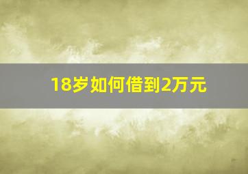 18岁如何借到2万元