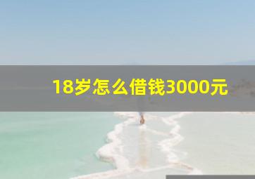 18岁怎么借钱3000元