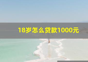 18岁怎么贷款1000元