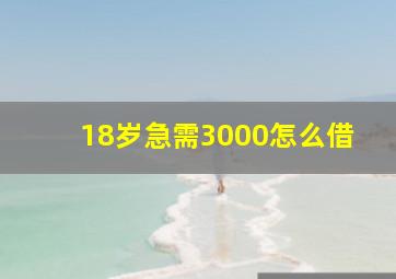 18岁急需3000怎么借