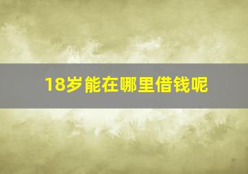 18岁能在哪里借钱呢