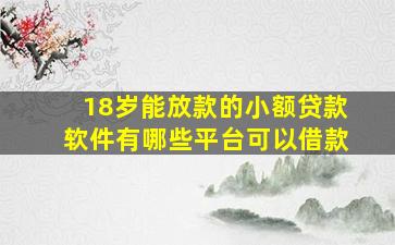 18岁能放款的小额贷款软件有哪些平台可以借款