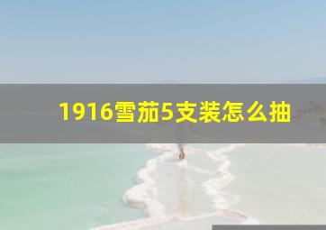 1916雪茄5支装怎么抽