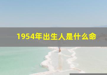 1954年出生人是什么命