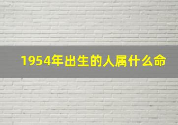 1954年出生的人属什么命