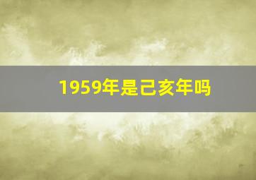 1959年是己亥年吗