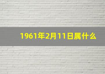 1961年2月11日属什么