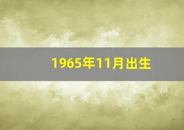 1965年11月出生