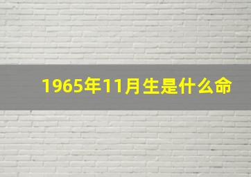 1965年11月生是什么命