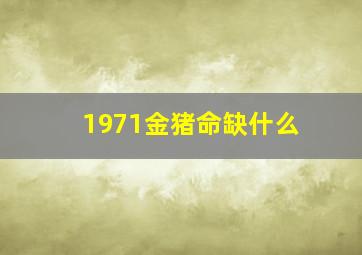 1971金猪命缺什么