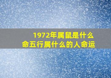 1972年属鼠是什么命五行属什么的人命运