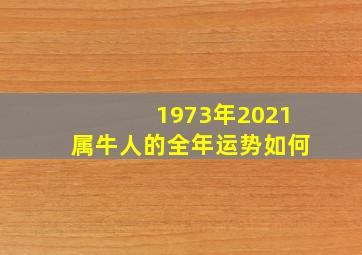 1973年2021属牛人的全年运势如何