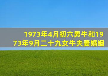 1973年4月初六男牛和1973年9月二十九女牛夫妻婚姻