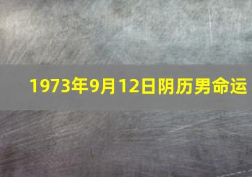 1973年9月12日阴历男命运