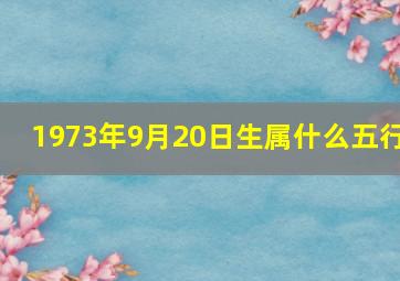 1973年9月20日生属什么五行