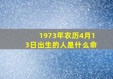 1973年农历4月13日出生的人是什么命