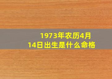 1973年农历4月14日出生是什么命格