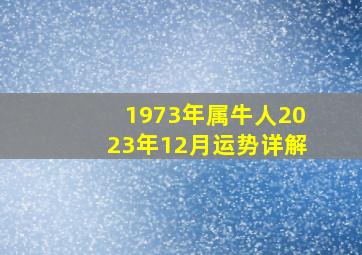 1973年属牛人2023年12月运势详解