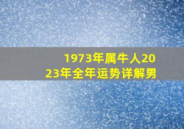 1973年属牛人2023年全年运势详解男