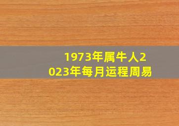 1973年属牛人2023年每月运程周易