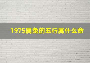 1975属兔的五行属什么命