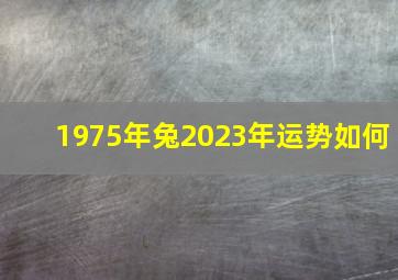 1975年兔2023年运势如何