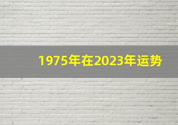 1975年在2023年运势