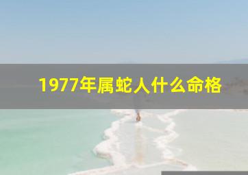 1977年属蛇人什么命格