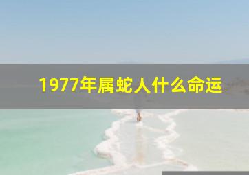 1977年属蛇人什么命运