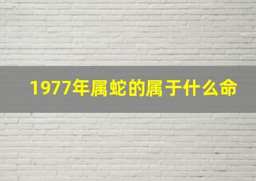 1977年属蛇的属于什么命