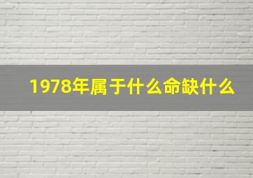 1978年属于什么命缺什么