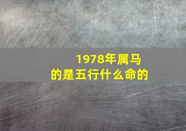 1978年属马的是五行什么命的