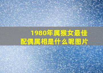 1980年属猴女最佳配偶属相是什么呢图片