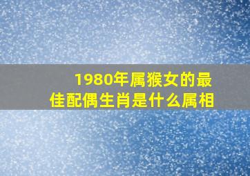 1980年属猴女的最佳配偶生肖是什么属相