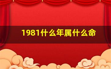 1981什么年属什么命