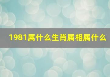 1981属什么生肖属相属什么