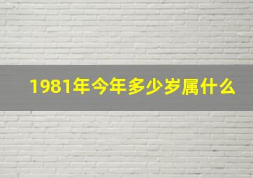 1981年今年多少岁属什么