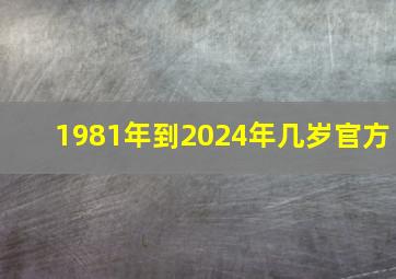 1981年到2024年几岁官方