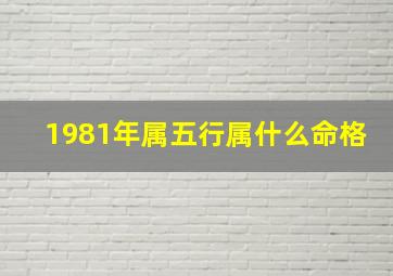 1981年属五行属什么命格