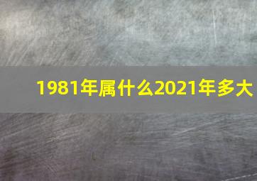 1981年属什么2021年多大