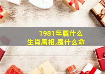 1981年属什么生肖属相,是什么命