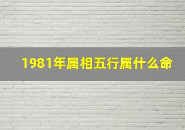 1981年属相五行属什么命