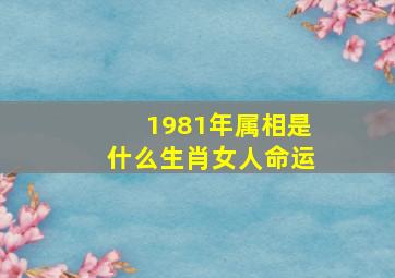 1981年属相是什么生肖女人命运