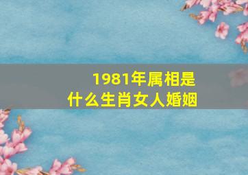 1981年属相是什么生肖女人婚姻