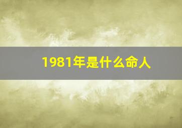 1981年是什么命人